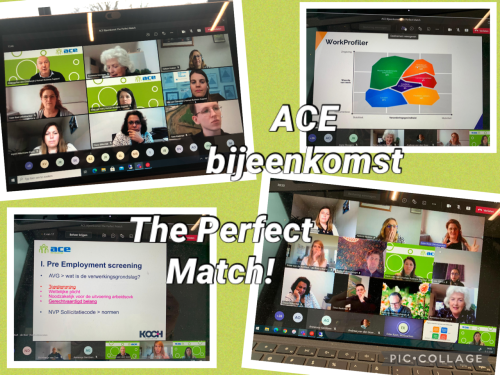 Collage ACE bijeenkomst 9 maart 2021